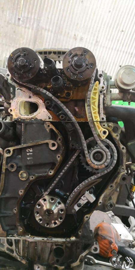 Timing Chain
