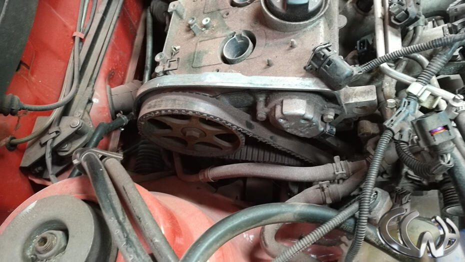 Note damage to timing belt!