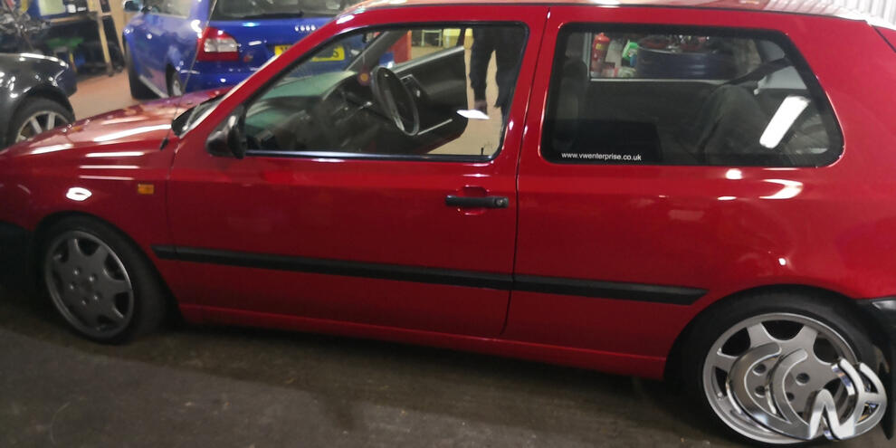 Happy Owner Collecting