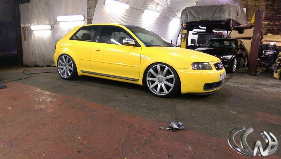 More Shiny Fresh Paint